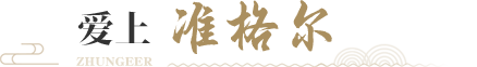 爱上“准格尔”