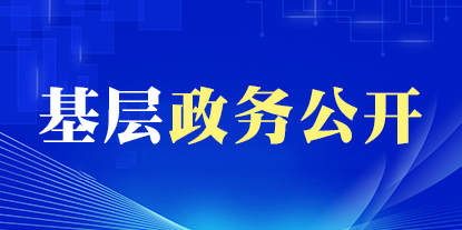 基层政务公开